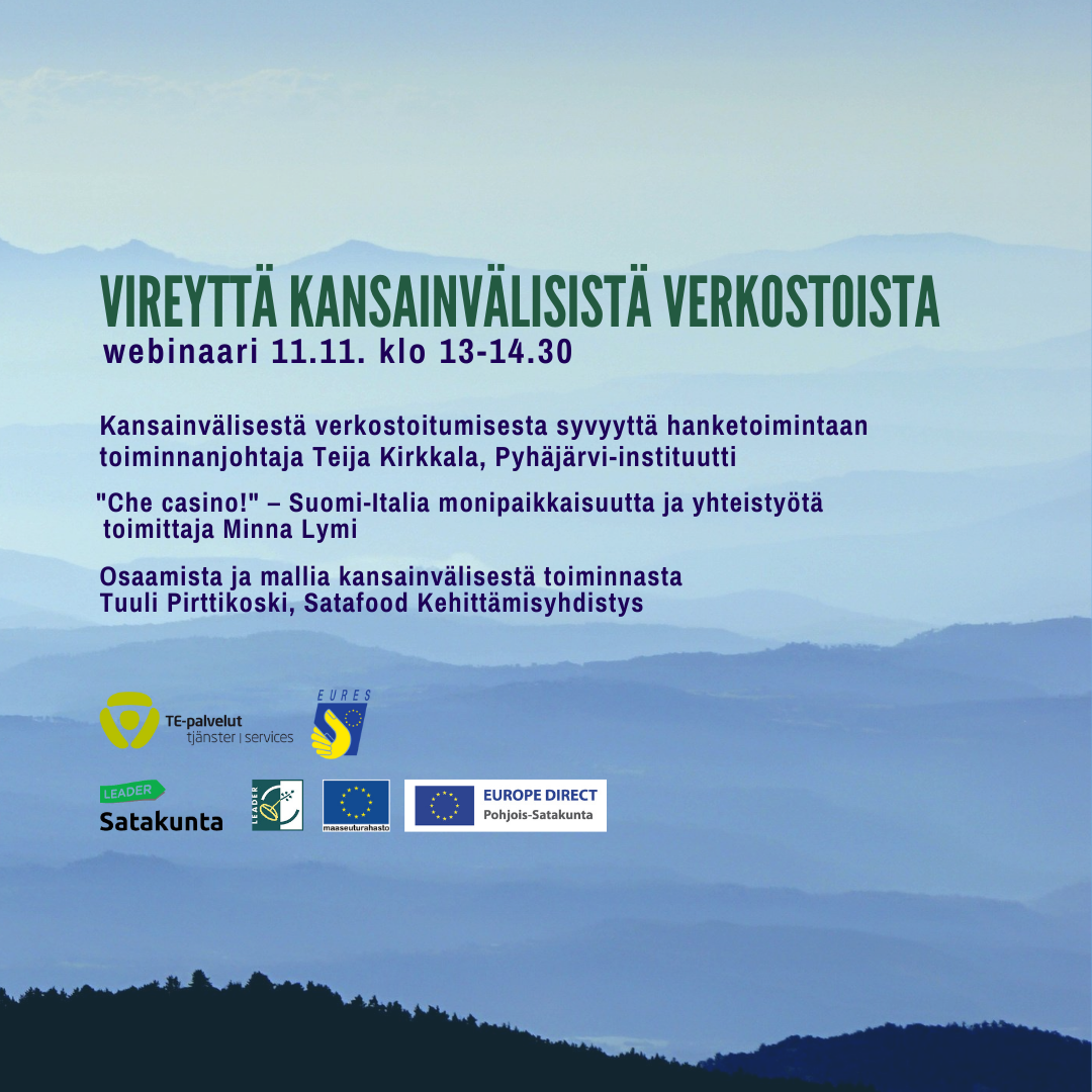 vireyttä kansainvälisistä verkostoista webinaari 11.11.